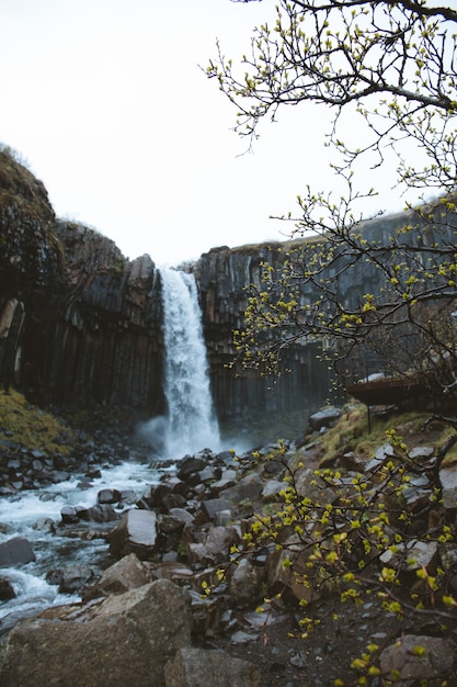 Vertical low angle shot of a beautiful waterfall on the rocky cliffs captured in Iceland