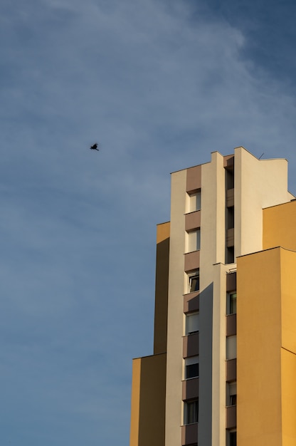 Vertical low angle shot of a bird flying above a concrete modern building