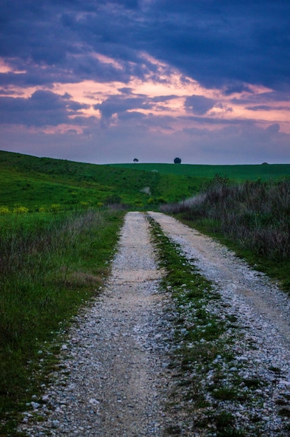 Vertical low angle shot of a breathtaking sunset over a road in the middle of a green scenery