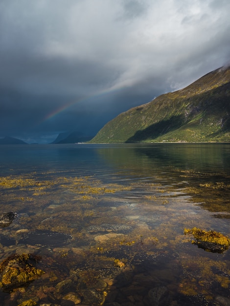 Vertical of the moss in the transparent water of the lake and a rainbow in the cloudy sky