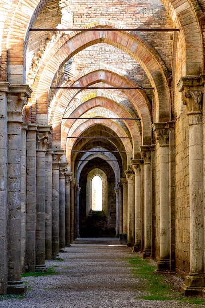 Free Photo vertical picture of the abbey of san galgano under the sunlight at daytime in italy