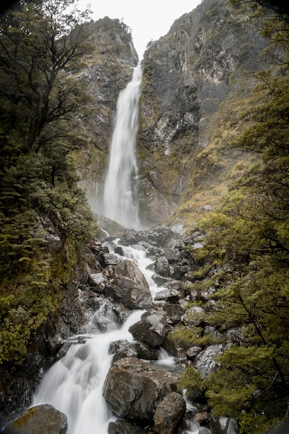 Vertical picture of Devils Punchbowl Waterfall surrounded by greenery in New Zealand