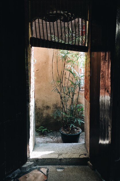 Vertical picture of a door of an old building under the sunlight at daytime