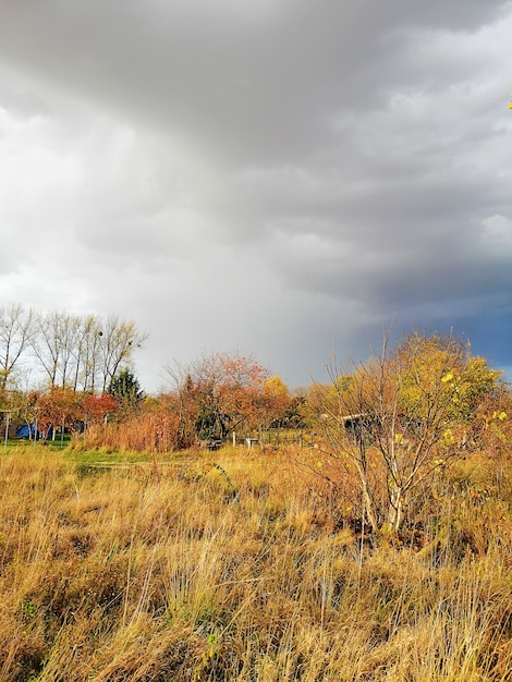 Vertical picture of a meadow under a cloudy sky during the autumn in Poland