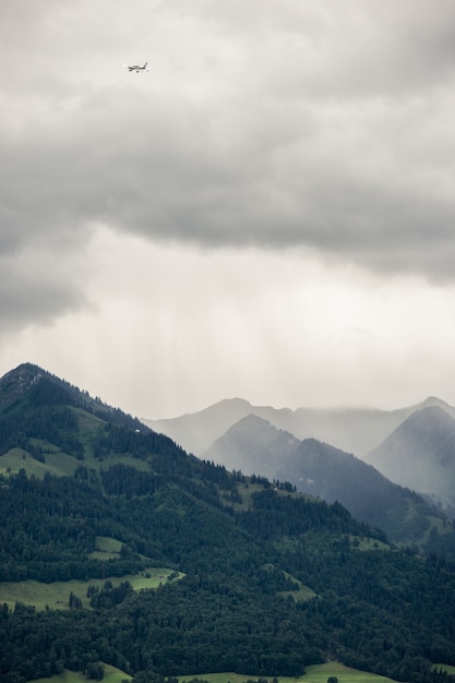 Free photo vertical picture of rocky mountains covered in forests and fog under the cloudy sky