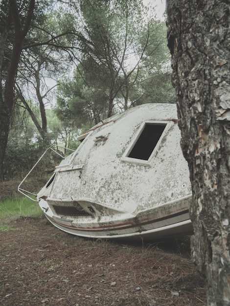 Free photo vertical shot of an abandoned rusty boat in a forest during daytime