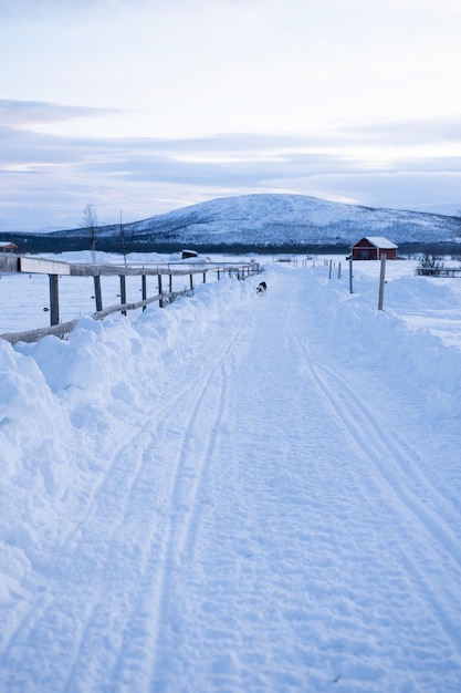 Free Photo vertical shot of a [athway in the middle of snowy fields with a dog in the distance in sweeden