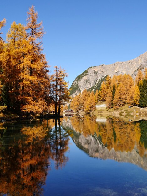 Vertical shot of autumn forest and its reflection on the lake