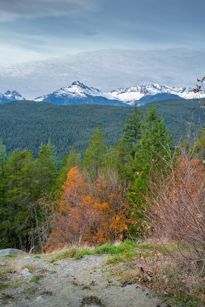 Vertical shot of an autumn forest surrounded by a mountainous scenery in Canada