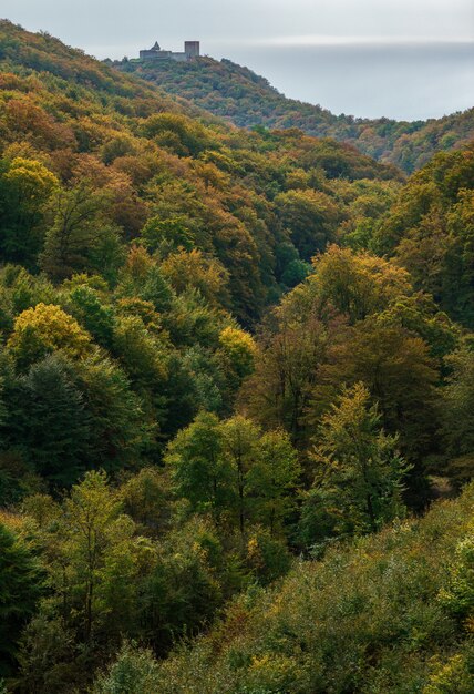 Vertical shot of the autumn in the mountain Medvednica with the castle Medvedgrad