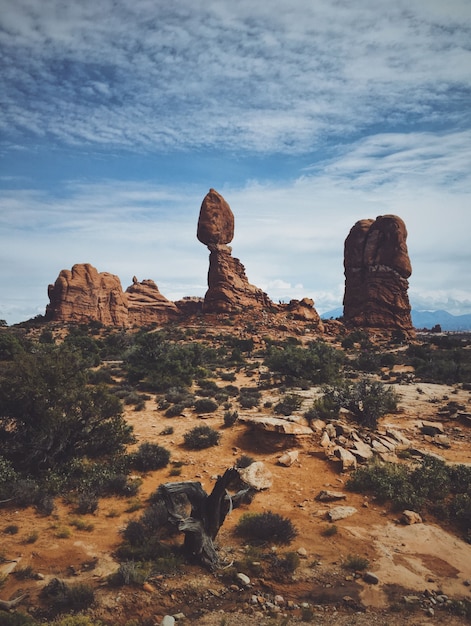 Free Photo vertical shot of the balanced rock in arches national park, on a cloudy day