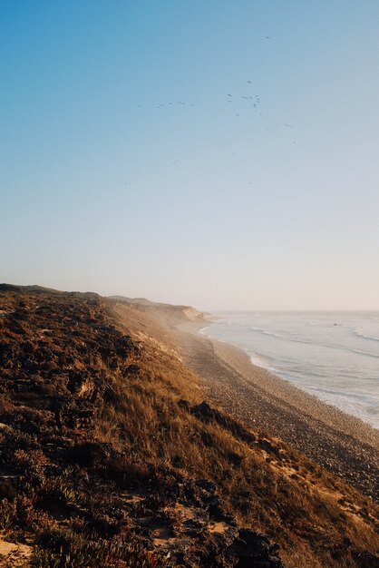 Vertical shot of beach at sunrise by the calm ocean