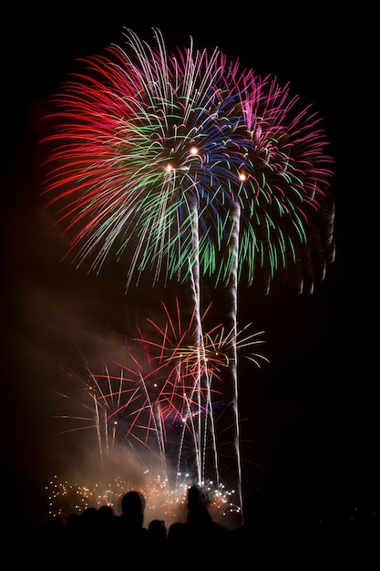 Free photo vertical shot of beautiful colorful fireworks under the dark night sky