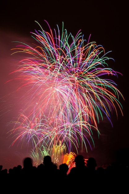 Free photo vertical shot of beautiful colorful fireworks under the dark night sky