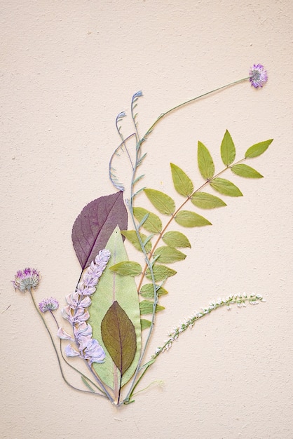 Vertical shot of a beautiful composition of flowers and leaves on white background