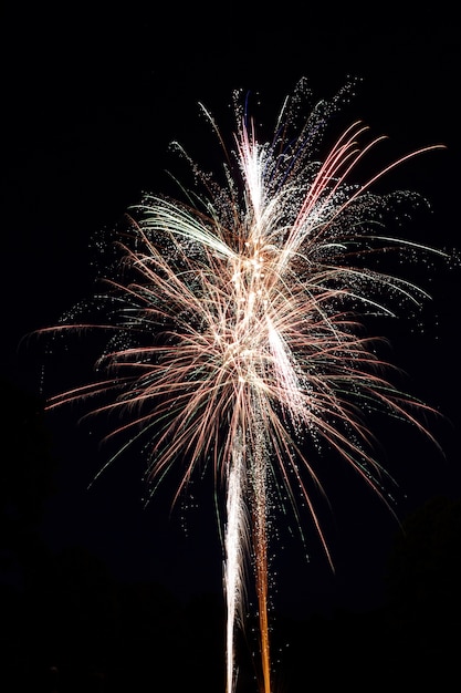 Vertical shot of a beautiful firework exploding