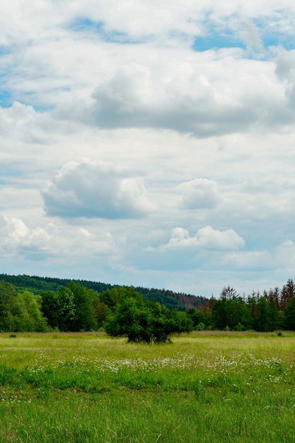 Free Photo vertical shot of a beautiful green valley under the cloudy sky