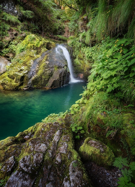 Free photo vertical shot of a beautiful lagoon surrounded by mossy rocks and the forest in skrad, croatia