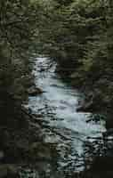 Free photo vertical shot of a beautiful river with a strong current and greenery around