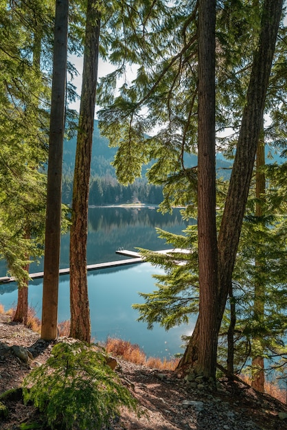 Free photo vertical shot of beautiful scenery of the lost lake, whistler, bc canada