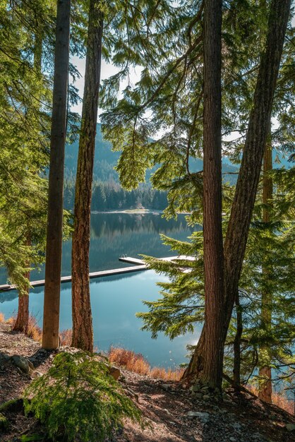 Vertical shot of beautiful scenery of the Lost Lake, Whistler, BC Canada