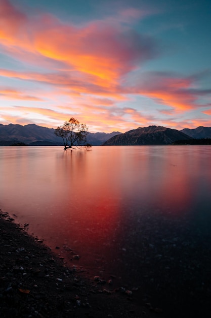 Vertical shot of a beautiful seascape with a tree in the middle of the sea at sunset