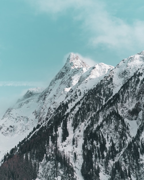 Vertical shot of the beautiful snow covered mountain peaks