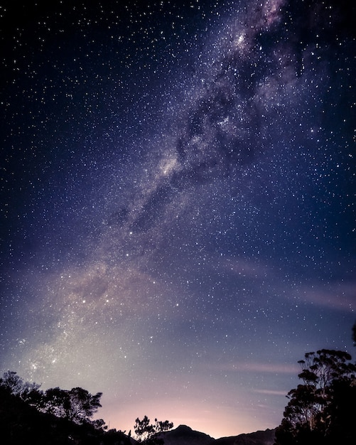 Free photo vertical shot of a beautiful starry sky