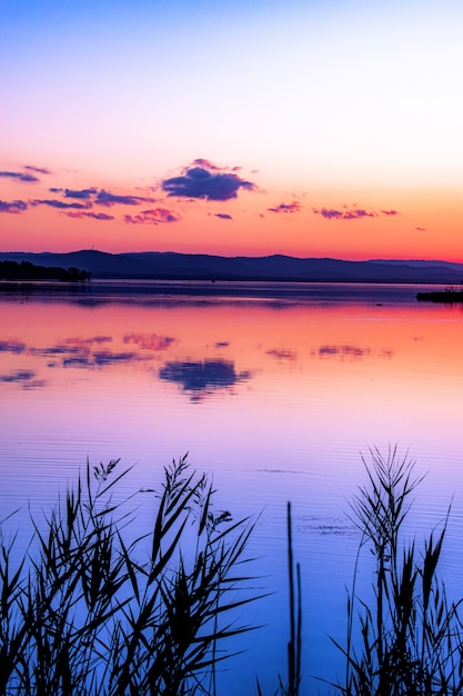 Free Photo vertical shot of beautiful sunset at the beach