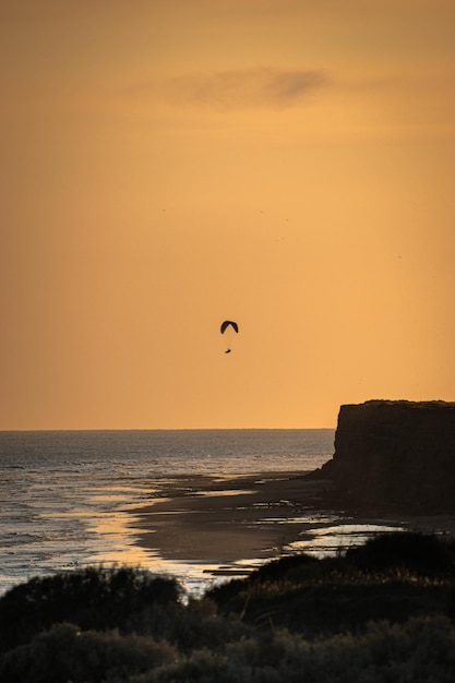 Free photo vertical shot of the beautiful sunset above the sea paraglider at sunset