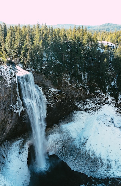 Vertical shot of a beautiful waterfall and a forest in the winter