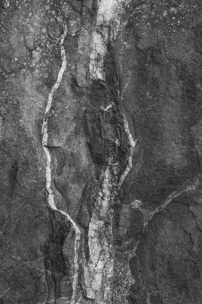 Free Photo vertical shot of a black rough concrete wall