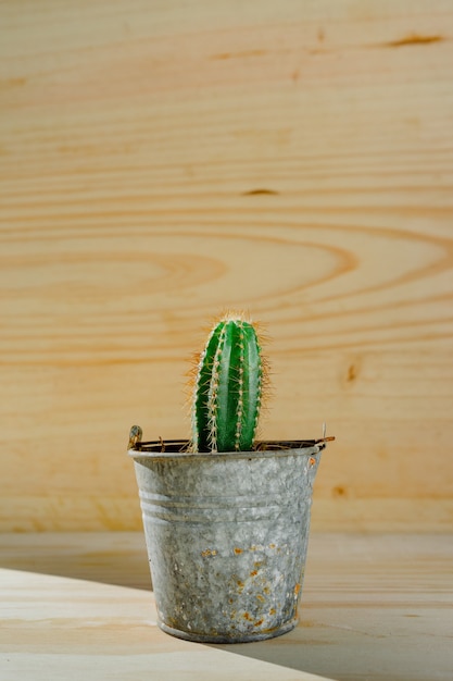 Free photo vertical shot of a cactus in a silver bucket pot with a wooden surface