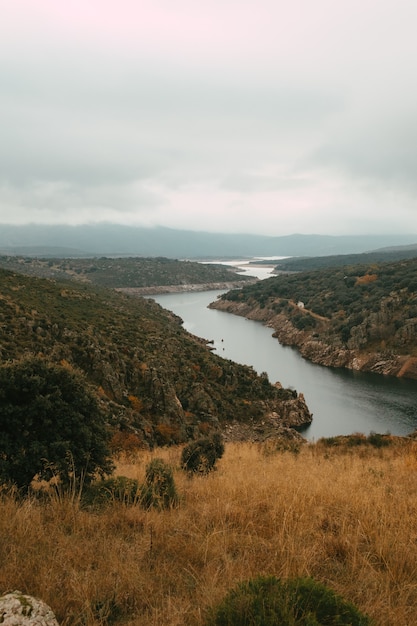 Free photo vertical shot of a calm lake surrounded by trees under a cloudy sky