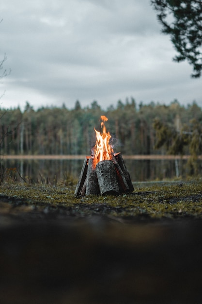 Free Photo vertical shot of a campfire surrounded by greenery under a cloudy sky in the morning