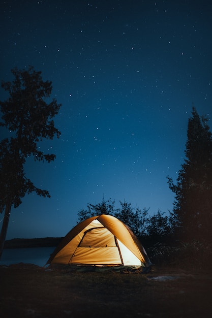 Free photo vertical shot of a camping tent near trees during nighttime