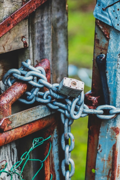 Vertical shot of a chain padlock of the gate