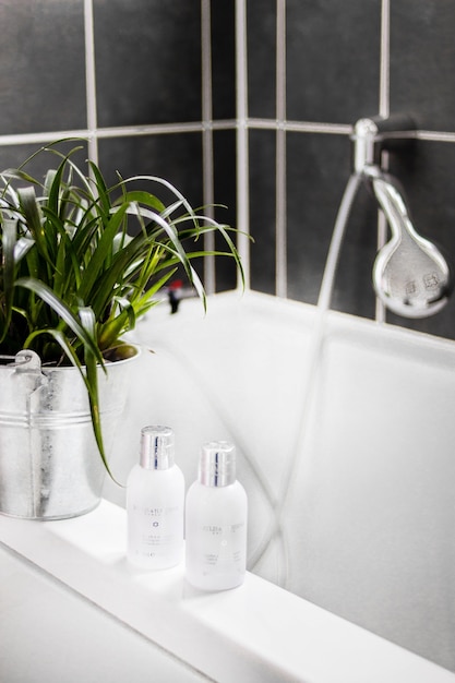 Free Photo vertical shot of champoos and a bucket with green plants on the bath