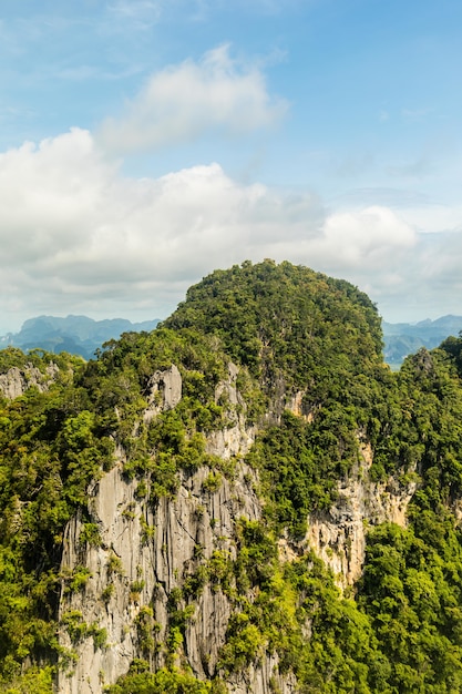 Free photo vertical shot of a cliff covered with green plants under a blue sky with clouds