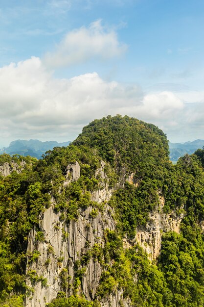 Vertical shot of a cliff covered with green plants under a blue sky with clouds