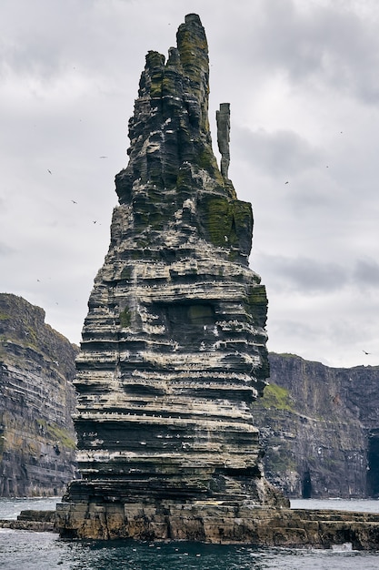 Free photo vertical shot of the cliffs of moher with seagulls on it under a cloudy sky in ireland