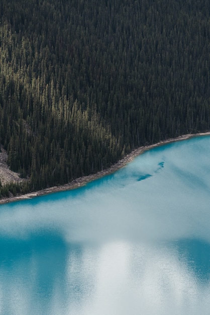 Vertical shot of the clouds reflecting in the clear frozen lake surrounded by a forest