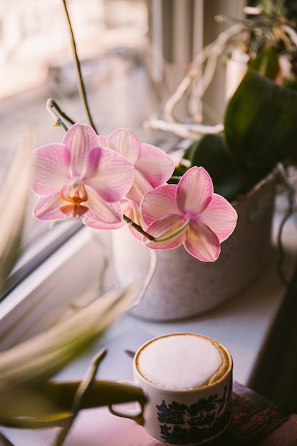 Free Photo vertical shot of a coffee put next to the flower on the windowsill