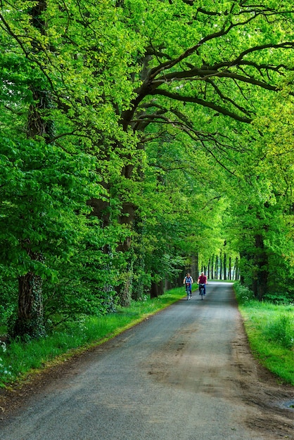 Free photo vertical shot of cyclers riding in a green garden