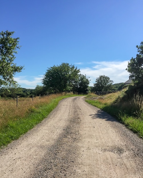 Vertical shot of a dirt road in the middle of grassy fields and trees in Sweden