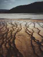 Free photo vertical shot of a dry salt lake with a forested mountain