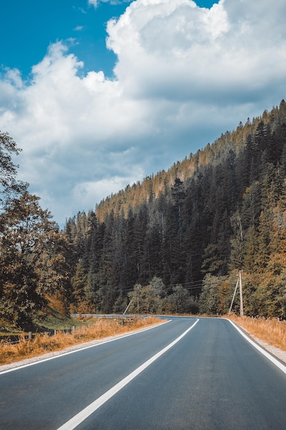 Vertical shot of an empty asphalt road through mountains under a cloudy sky