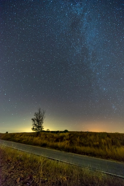 Free Photo vertical shot of an empty road between greenery under a starry blue sky