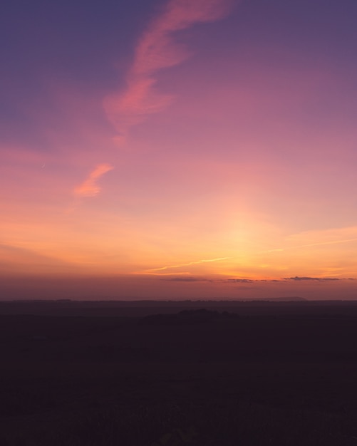 Vertical shot of a field under the breathtaking purple sky