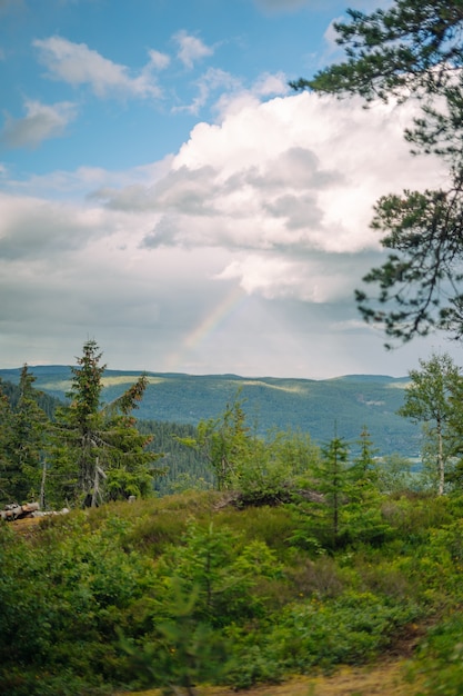 Vertical shot of forest, hills, and a rainbow on a cloudy day